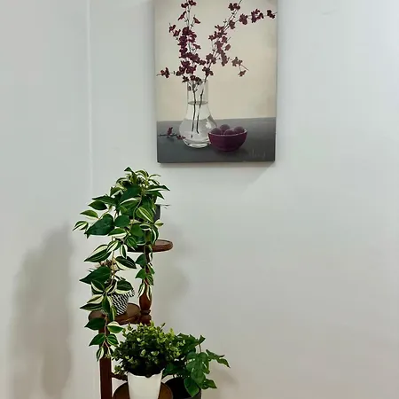 Centro - Tribunal Tavira