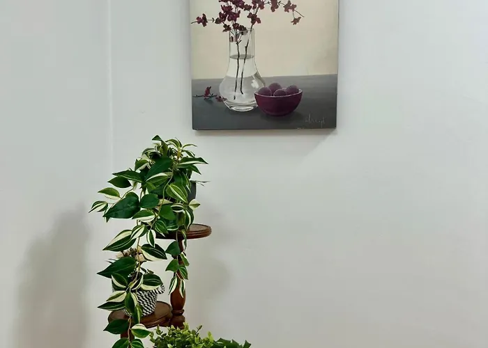 Centro - Tribunal Tavira